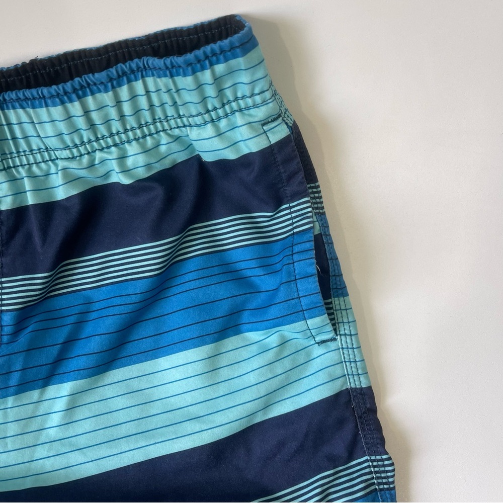 O’Neill Bathing Suit Swim Trunks Blue Striped Size Large - Picture 3 of 7